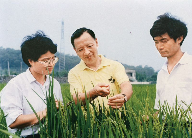 卢永根（中）在水稻试验地指导博士研究生（资料照片）。新华社发（华南农业大学供图）